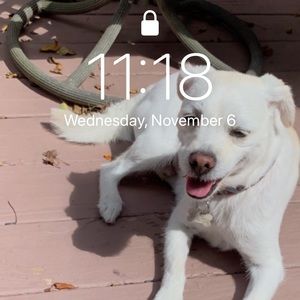 Meet your Posher, Owen